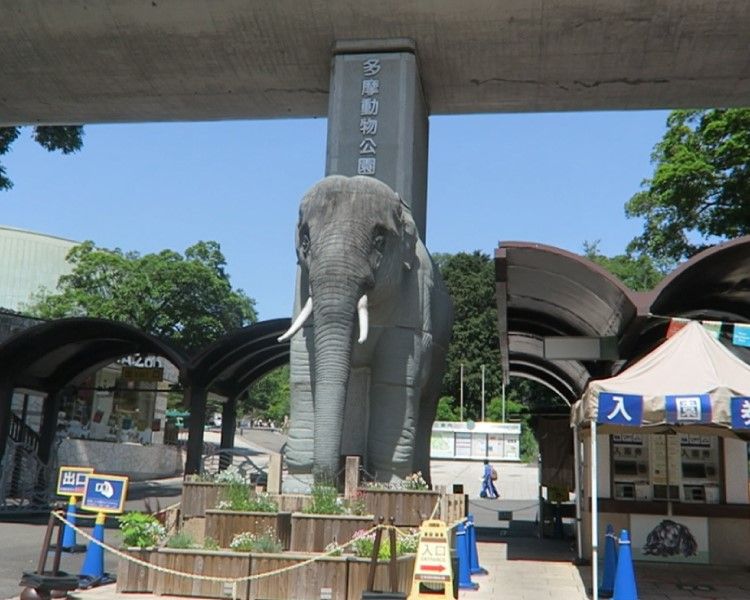 Q50Rカーボンで多摩動物公園へ