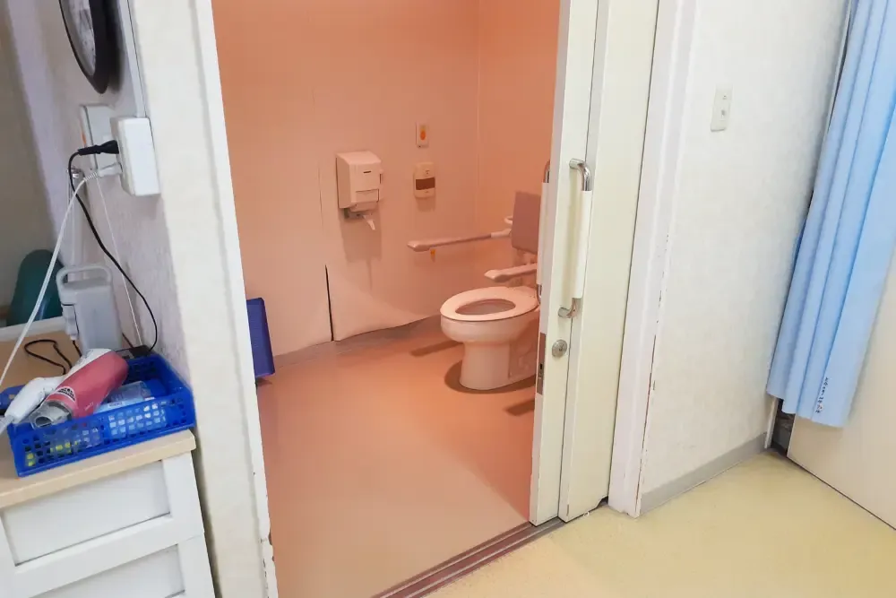 <p>改修前のトイレ</p>
