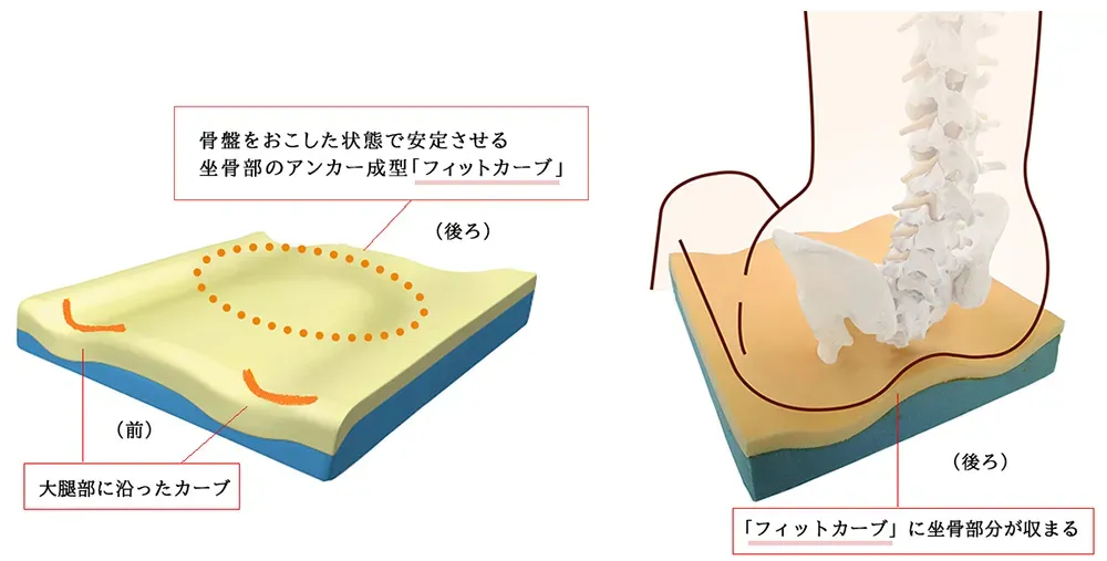 エックスシート　特長.webp