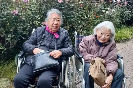 秋バラはまさに見ごろ